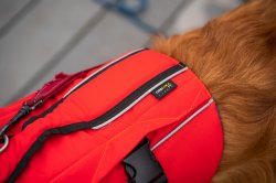 Red Original Adjustable Dog Buoyancy Aid