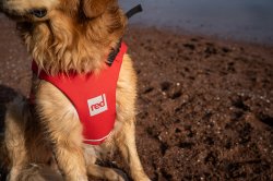 Red Original Adjustable Dog Buoyancy Aid