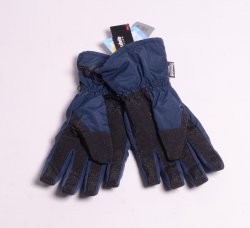 IcePeak Men's Ski Glove Black/ Blue